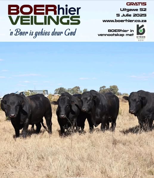 516893026_122175679298353464_8328771286759963263_n